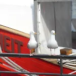 Am Alten Strom